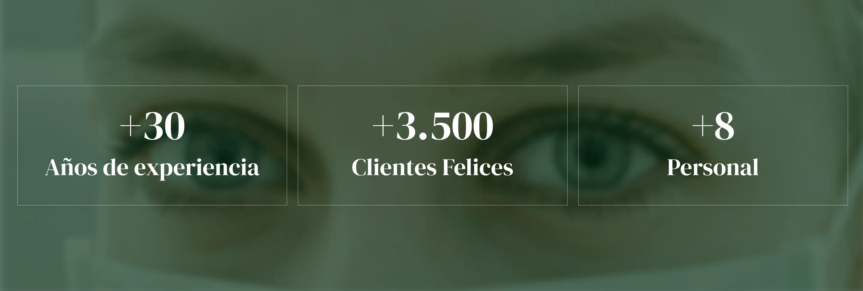 optica6